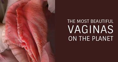 Illustration for article titled The Most Beautiful Vaginas In Nature